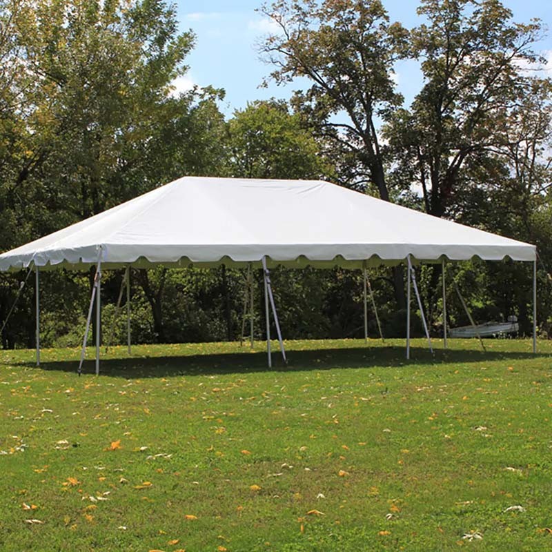 TSE-03 Wholesale Price 20ftX30ft Classic Party Frame Wedding Tent