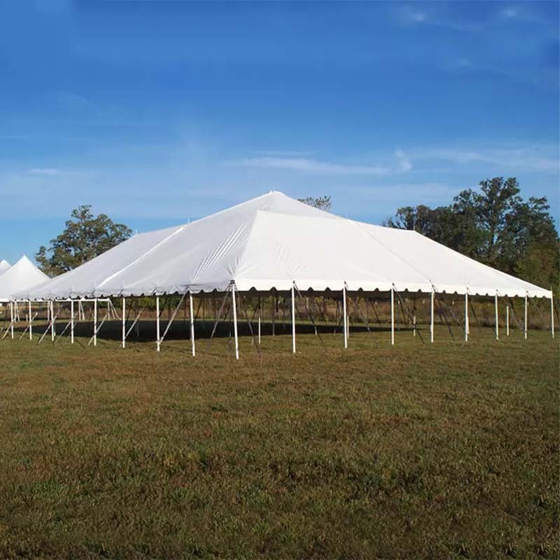 TSE-04 Customize Waterproof Pole Big Wedding Tent